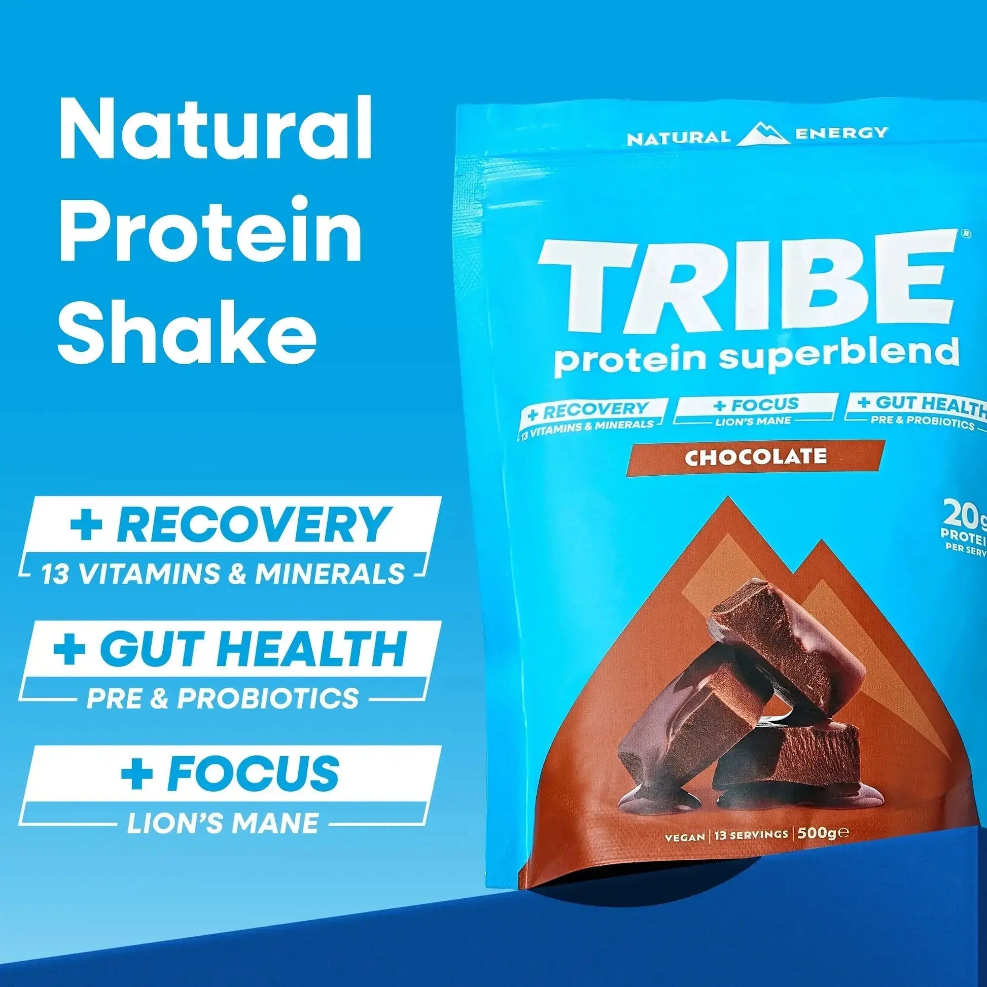 Vegan Protein Superblend | Daily Recovery, Gut Health & Focus Shake TRIBE Natural Energy