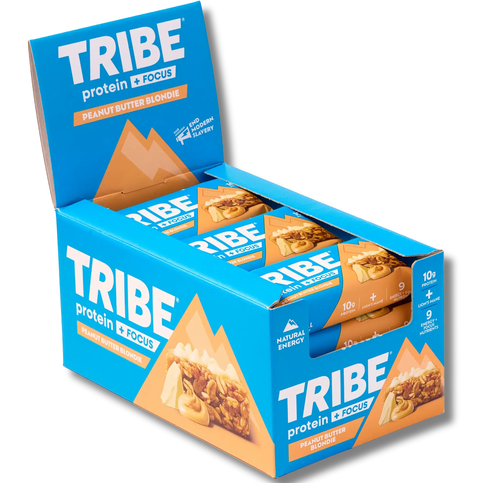 Protein + Focus 12 x 60g Bars | High Protein Flapjack | Lion's Mane & 9 Focus Nutrients TRIBE Bars