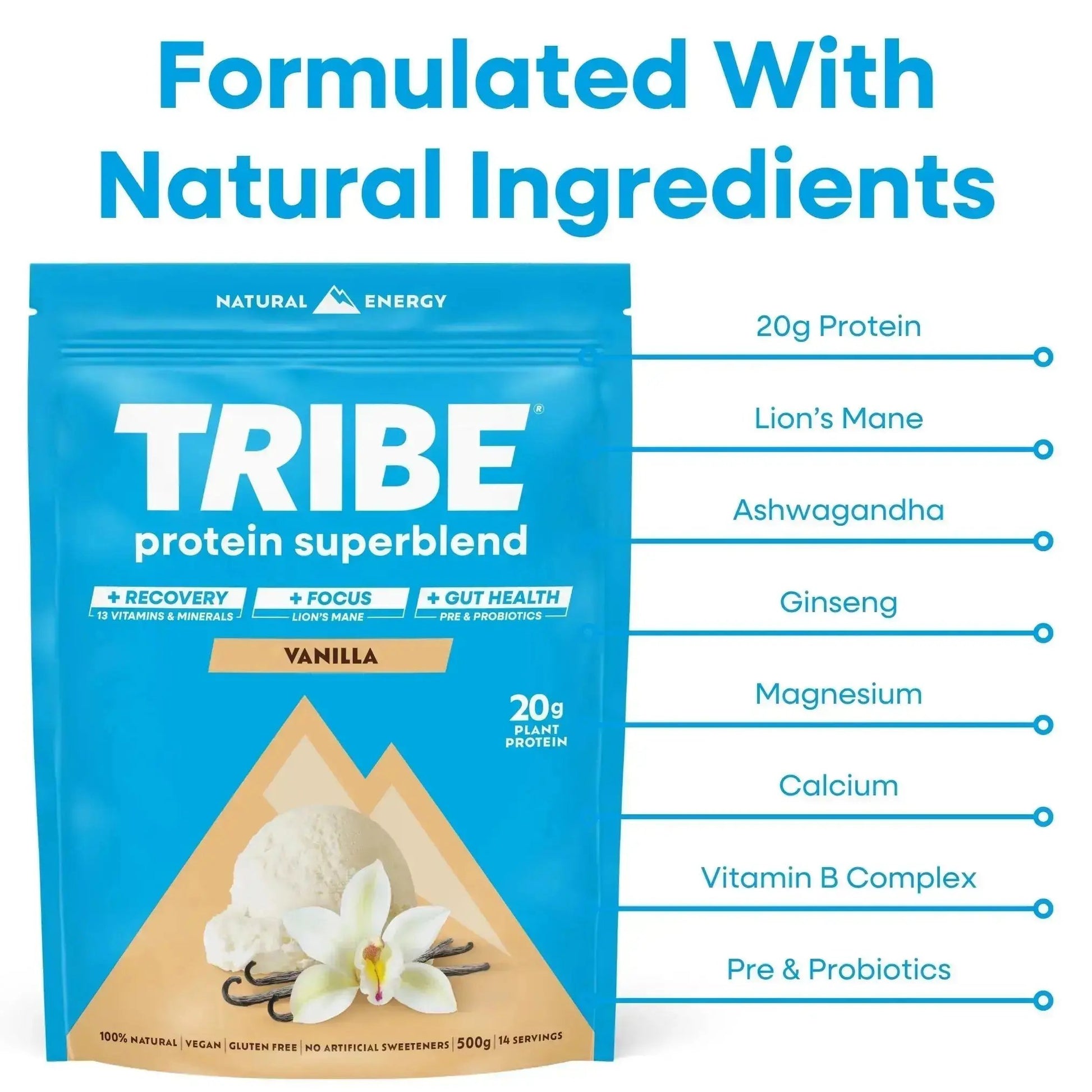 Vegan Protein Superblend | Daily Recovery, Gut Health & Focus Shake TRIBE Natural Energy