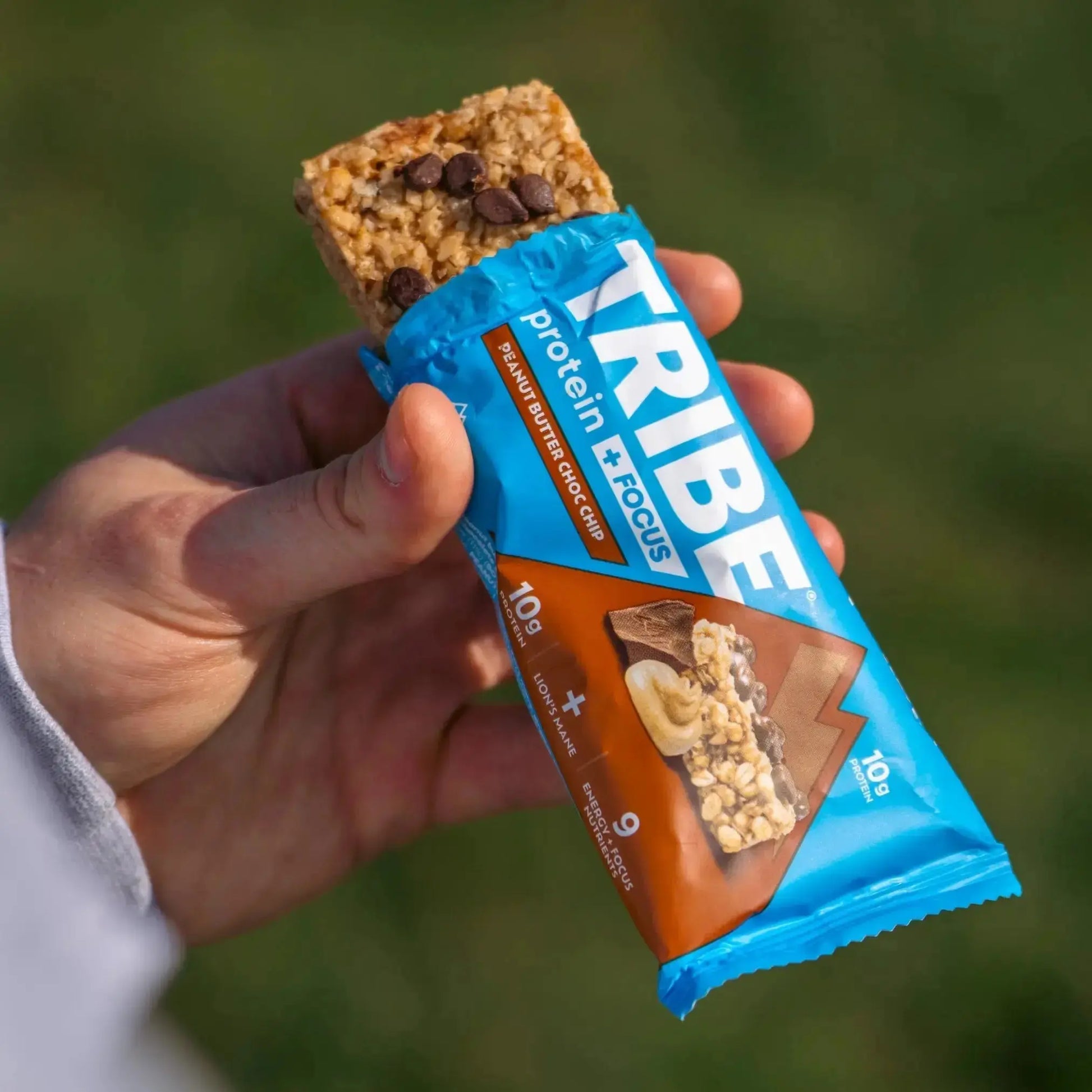 Protein + Focus 12 x 60g Bars | High Protein Flapjack | Lion's Mane & 9 Focus Nutrients TRIBE Bars