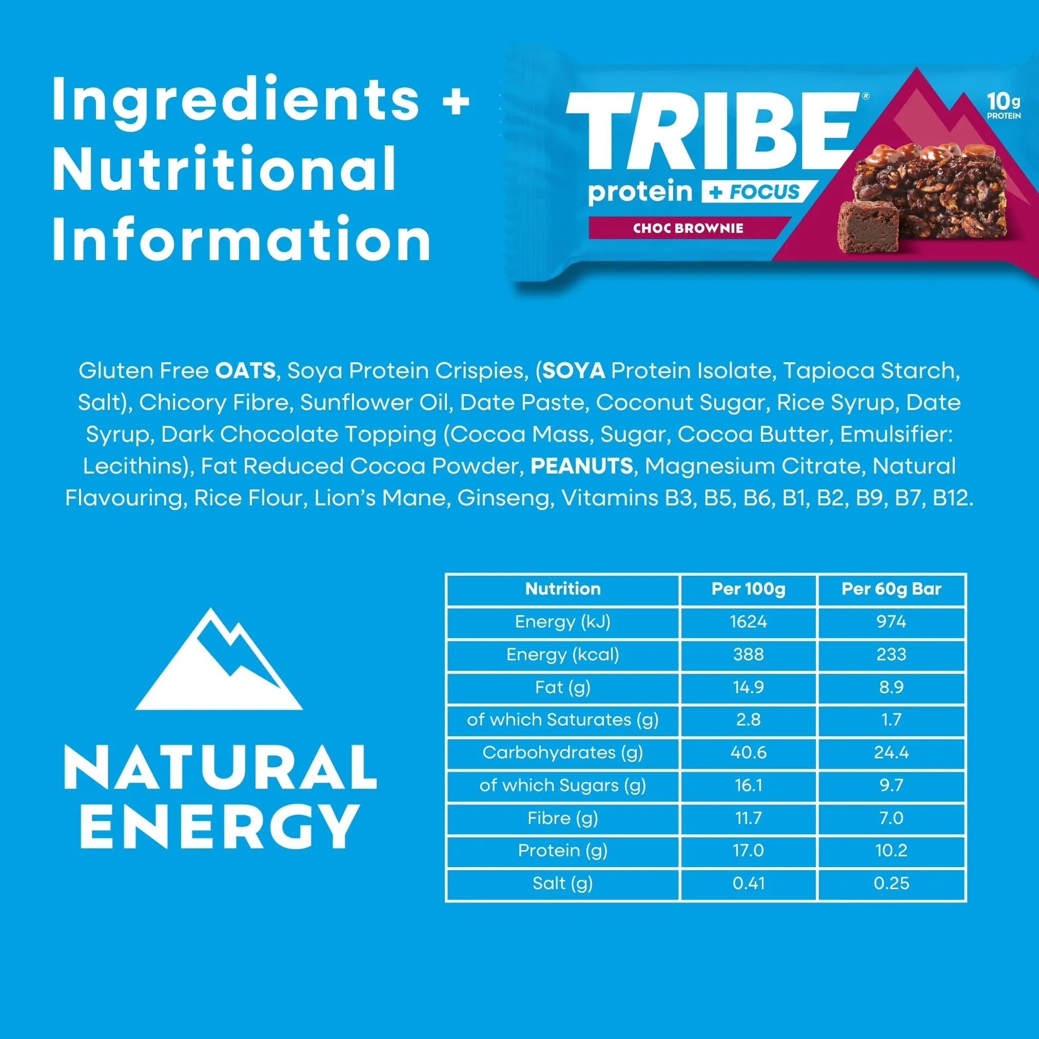 Protein + Focus 12 x 60g Bars | High Protein Flapjack | Lion's Mane & 9 Focus Nutrients TRIBE Bars