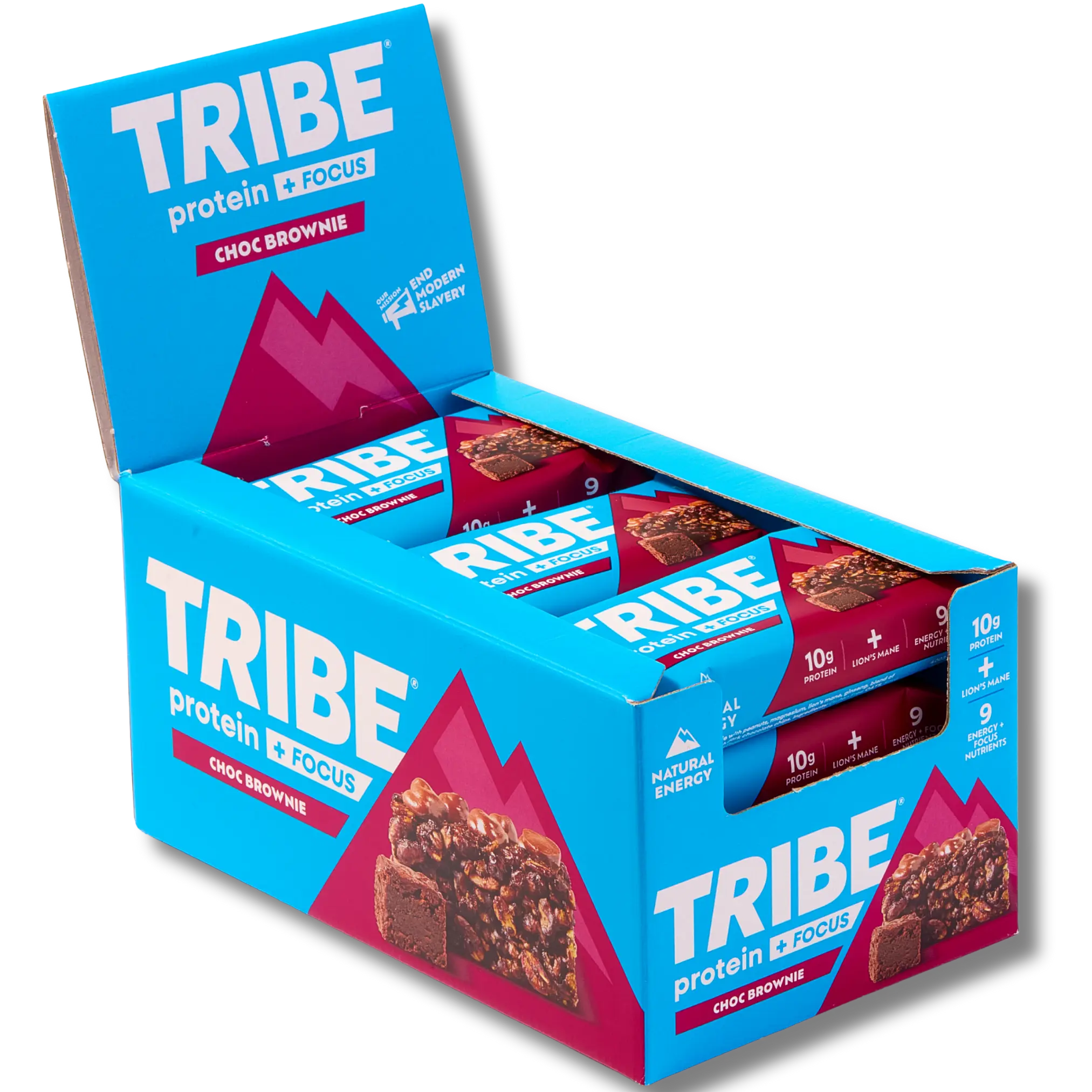 Protein + Focus 12 x 60g Bars | High Protein Flapjack | Lion's Mane & 9 Focus Nutrients TRIBE Bars