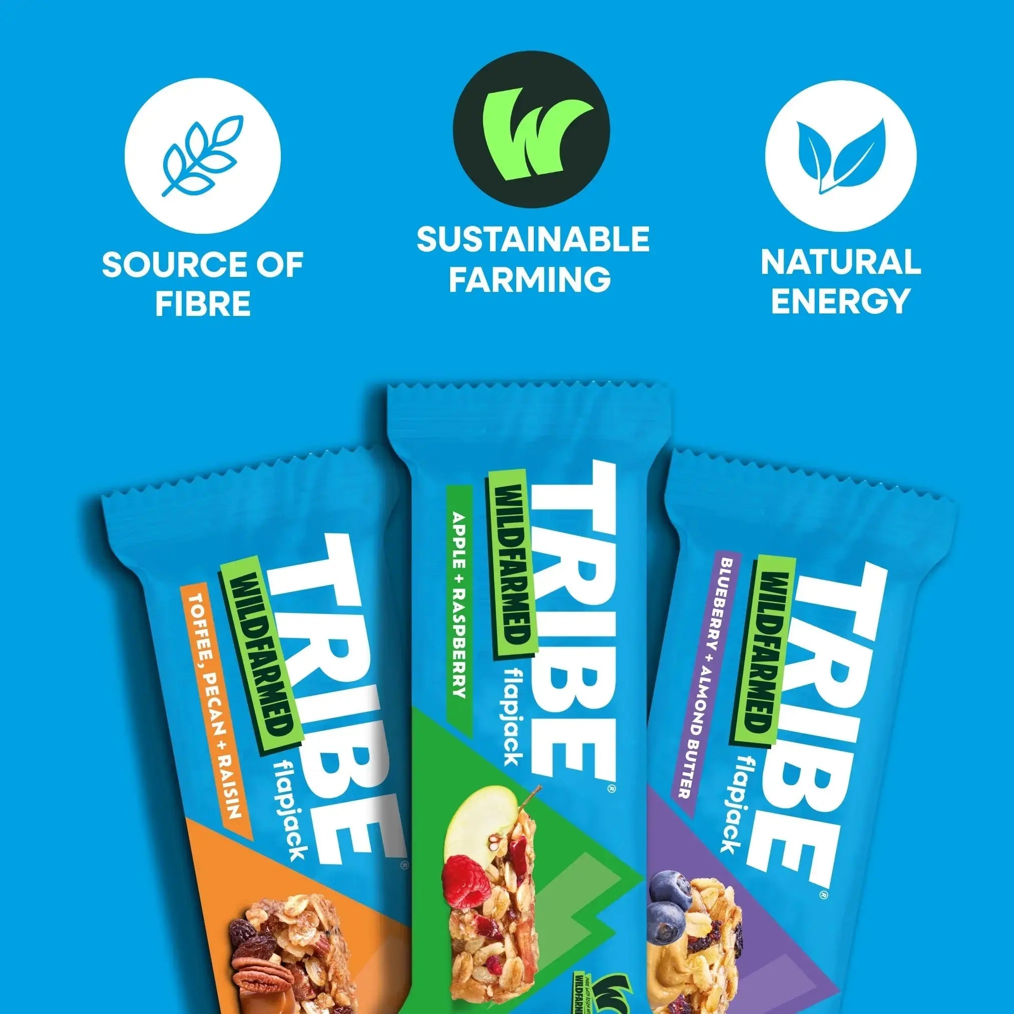 TRIBE x Wildfarmed 16 x 50g Bars | Delicious Tasting Flapjack | Made with Regen Oats | Sustained Energy TRIBE Natural Energy
