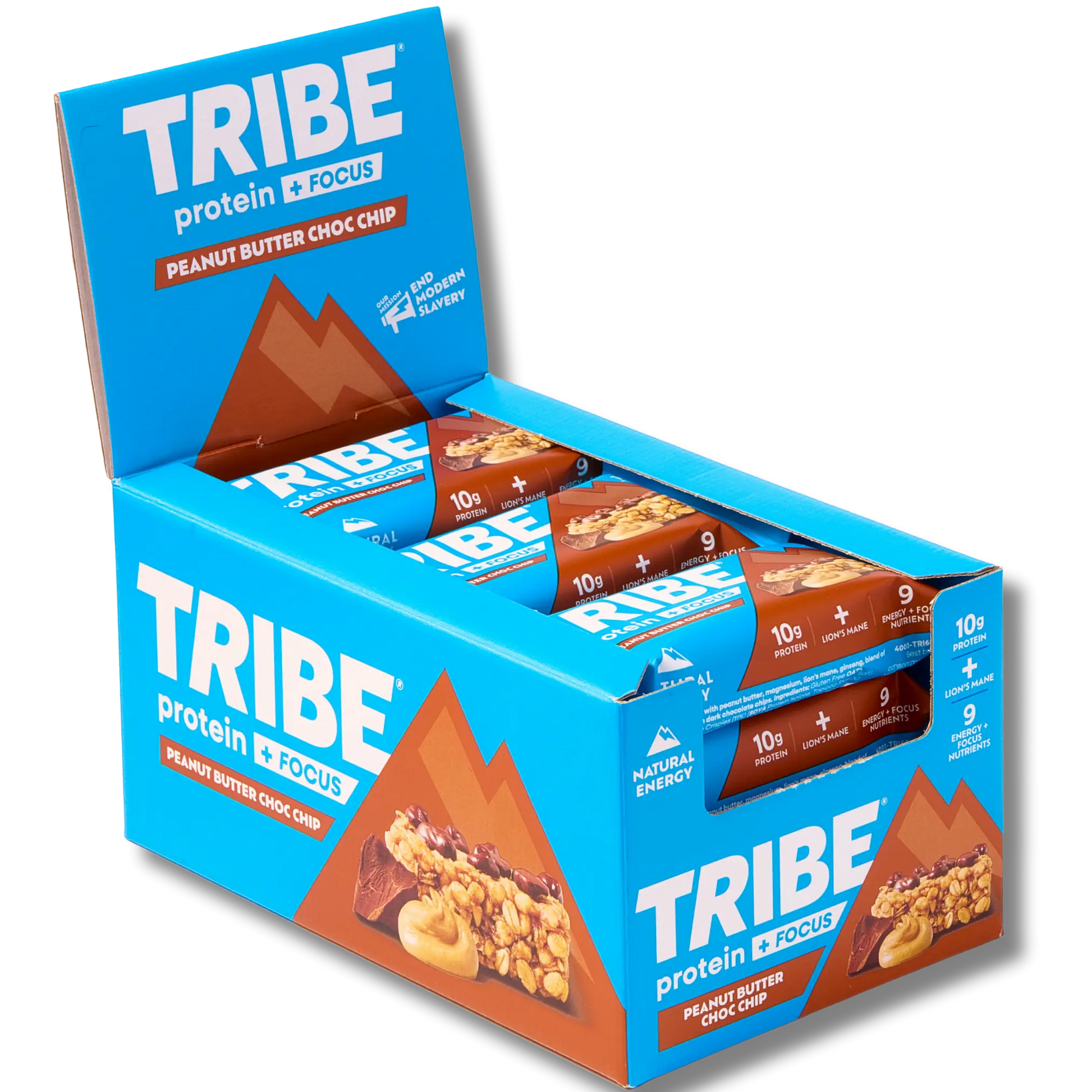 Protein + Focus 12 x 60g Bars | High Protein Flapjack | Lion's Mane & 9 Focus Nutrients TRIBE Bars