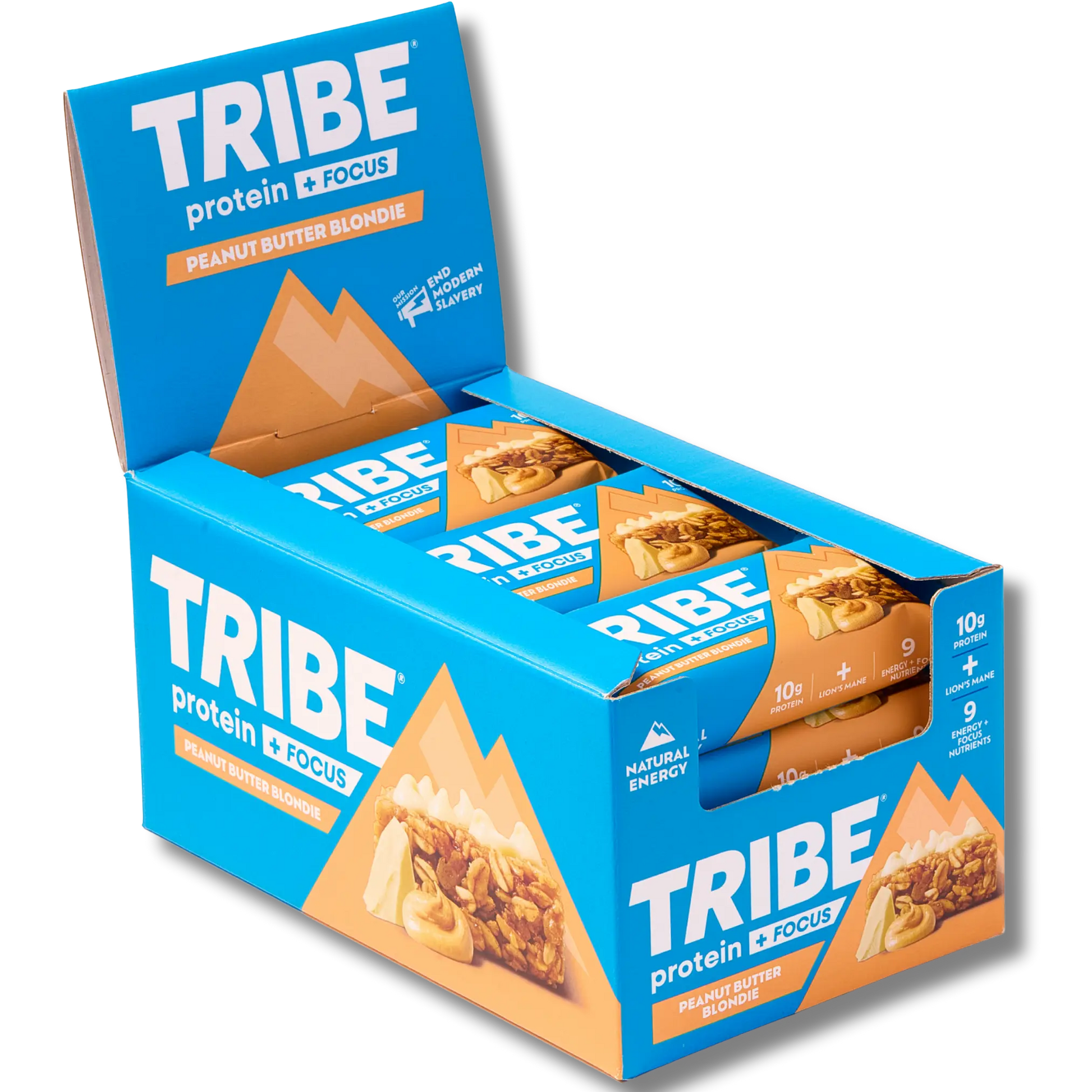 Protein + Focus 12 x 60g Bars | High Protein Flapjack | Lion's Mane & 9 Focus Nutrients TRIBE Bars