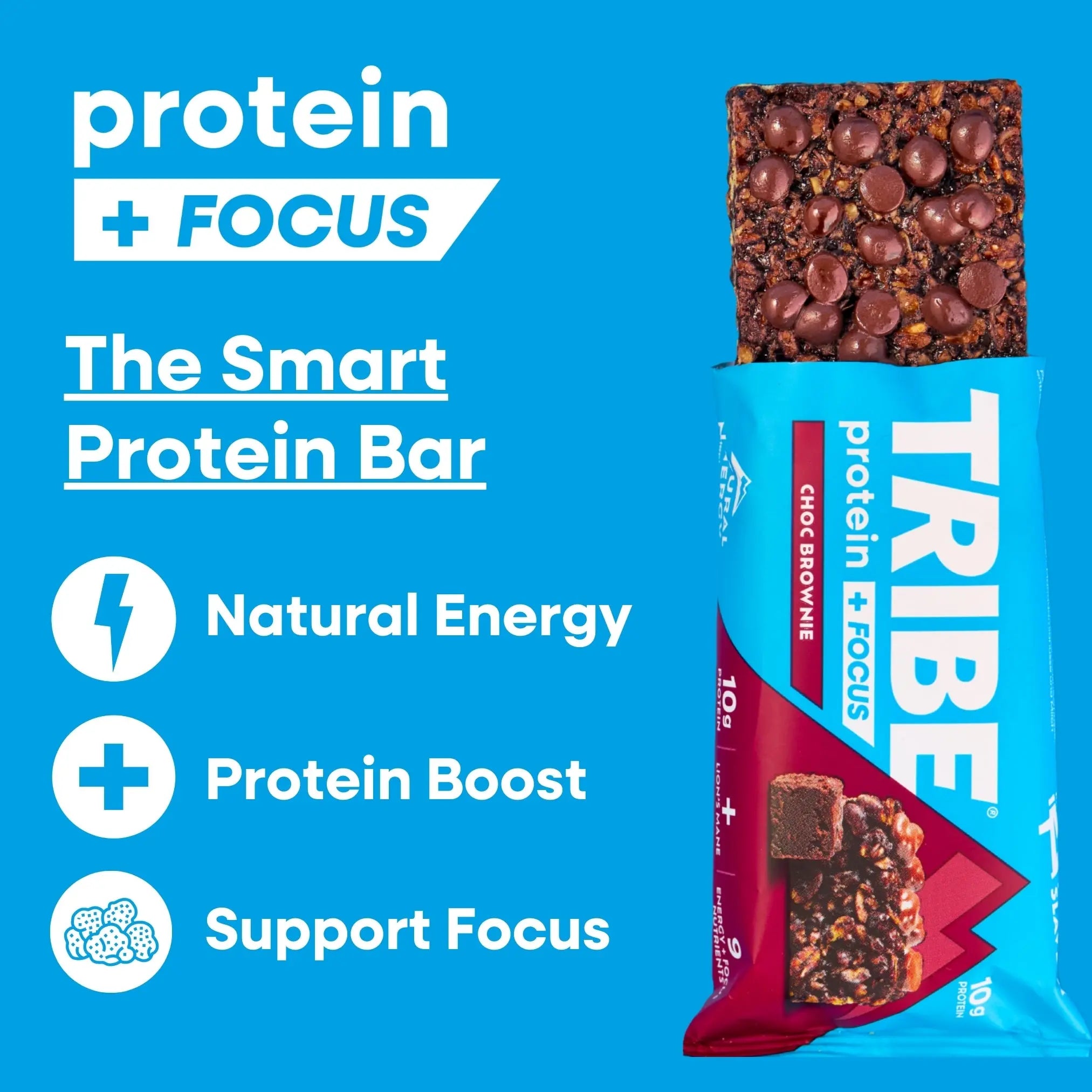 Protein + Focus 12 x 60g Bars | High Protein Flapjack | Lion's Mane & 9 Focus Nutrients TRIBE Bars