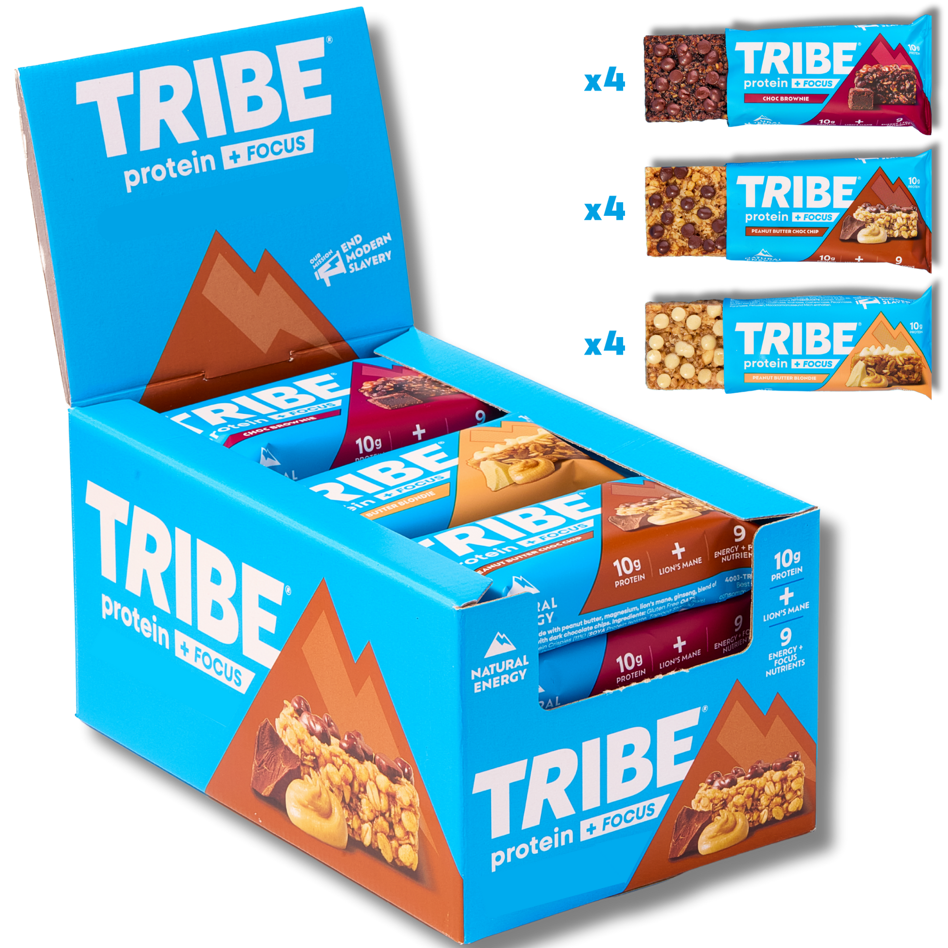 Protein + Focus 12 x 60g Bars | High Protein Flapjack | Lion's Mane & 9 Focus Nutrients TRIBE Natural Energy