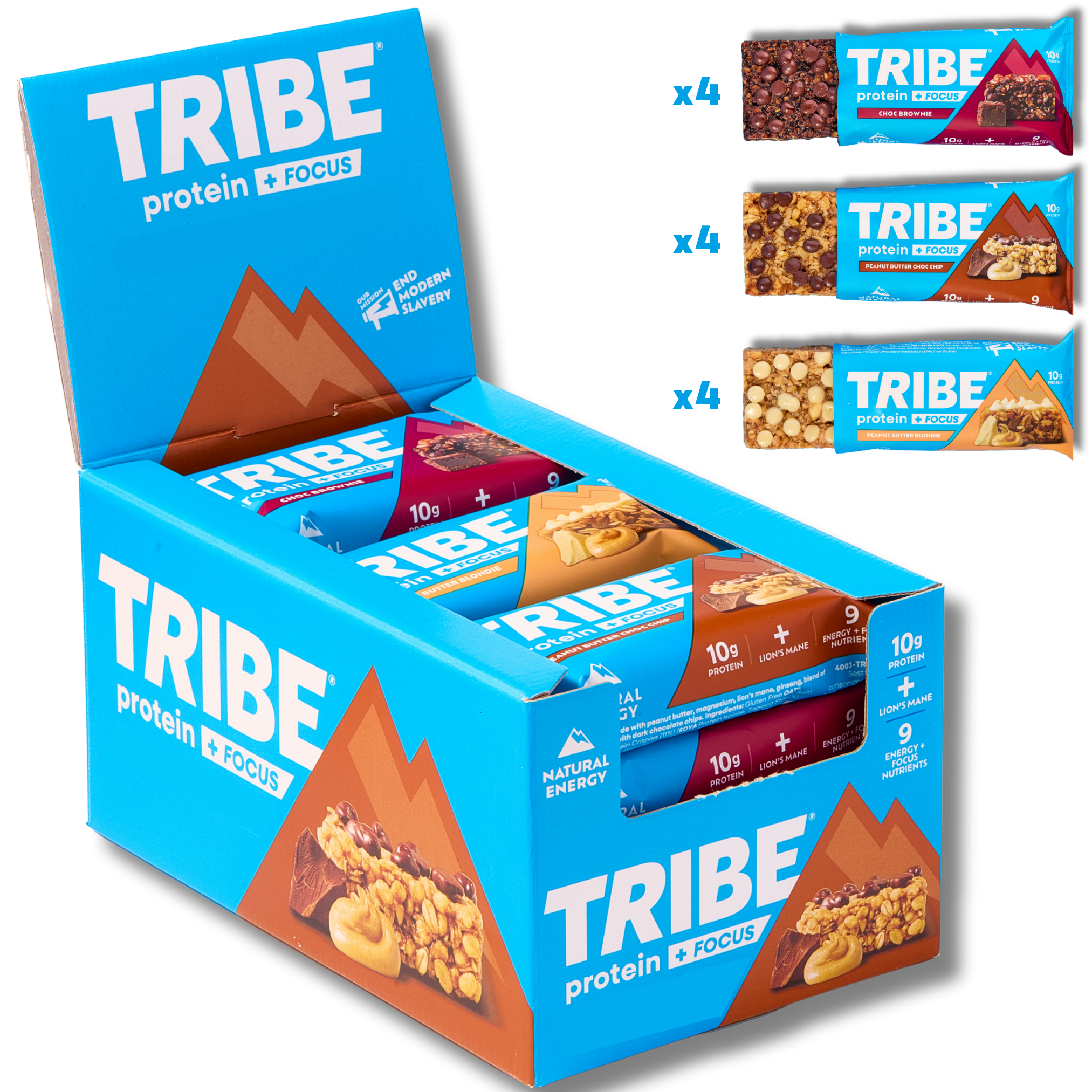 Protein + Focus 12 x 60g Bars | High Protein Flapjack | Lion's Mane & 9 Focus Nutrients TRIBE Natural Energy