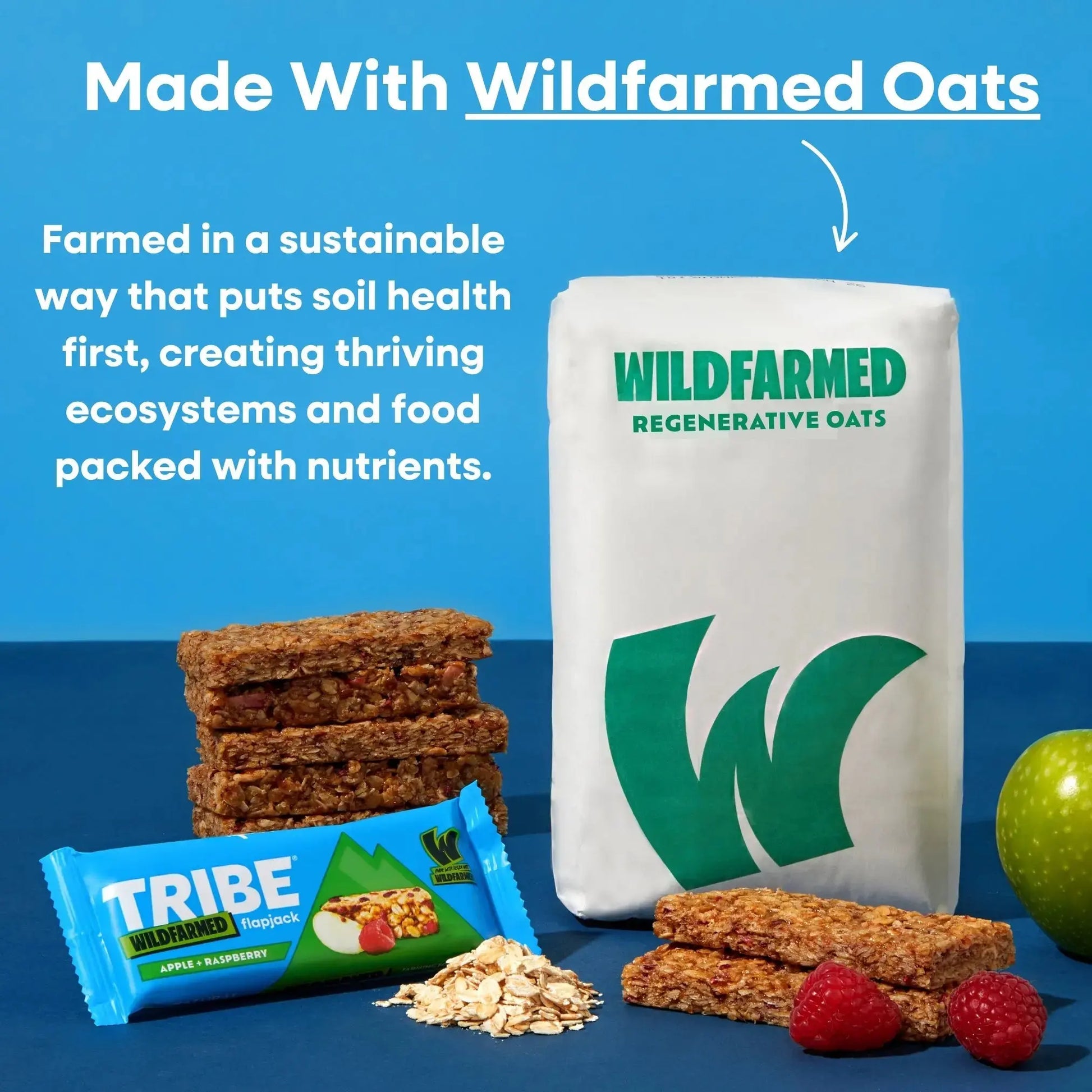 TRIBE x Wildfarmed 16 x 50g Bars | Delicious Tasting Flapjack | Made with Regen Oats | Sustained Energy TRIBE Natural Energy