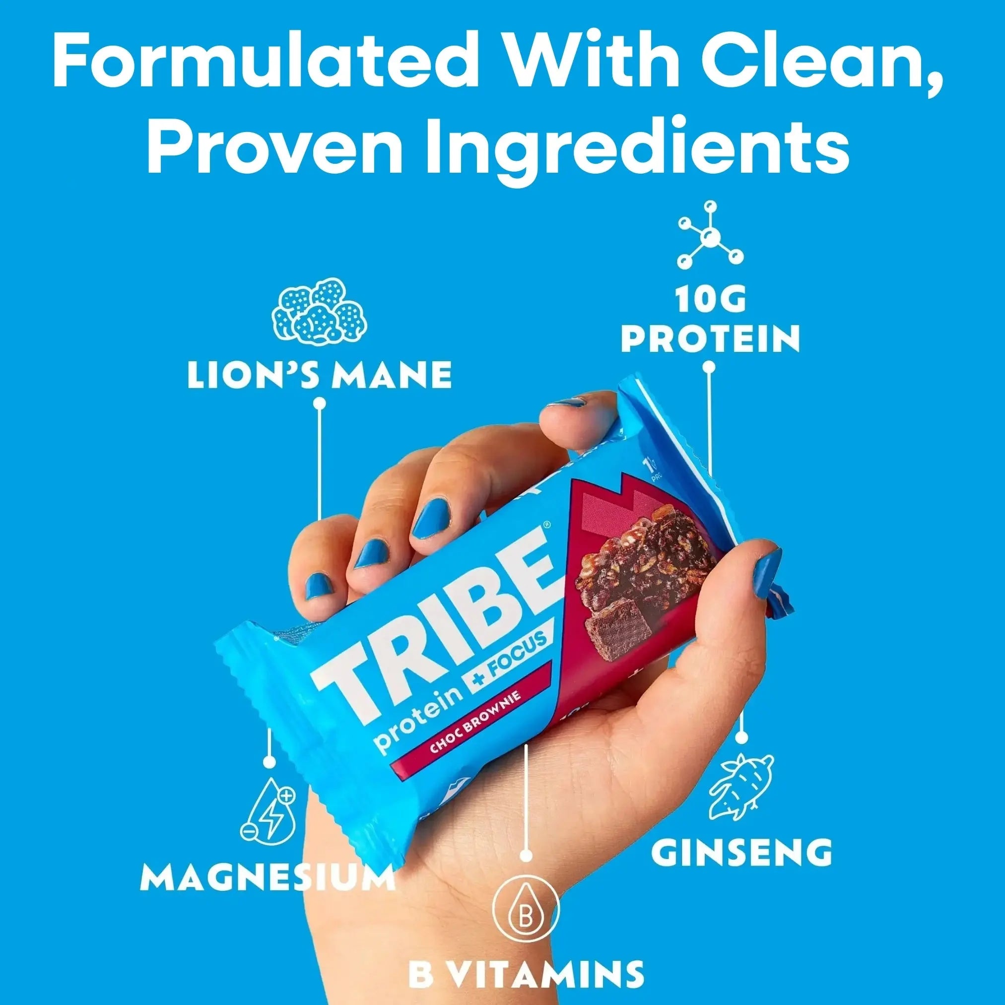Protein + Focus 12 x 60g Bars | High Protein Flapjack | Lion's Mane & 9 Focus Nutrients TRIBE Bars