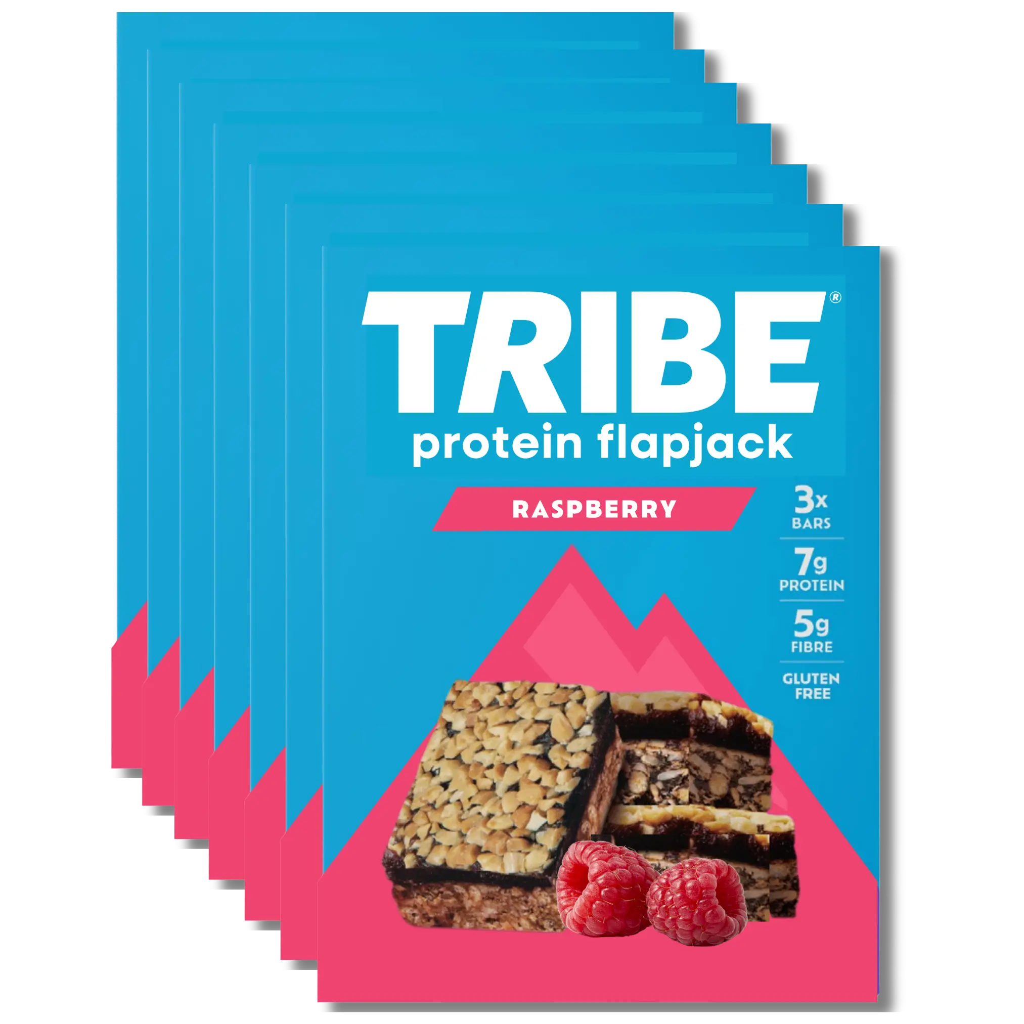 TRIBE Protein Flapjack 12x50g | Natural Energy, High Protein & Fibre TRIBE Bars