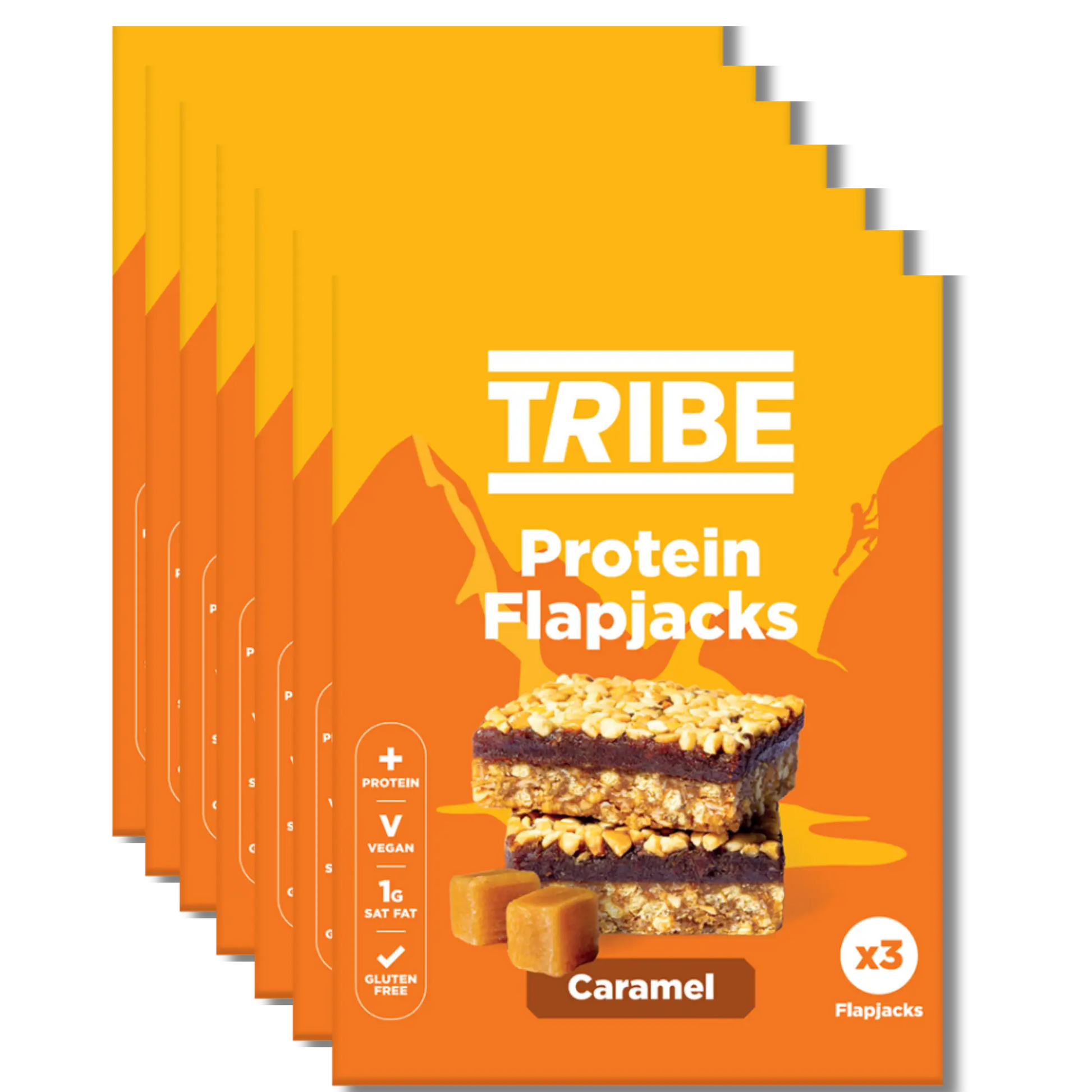 TRIBE Protein Flapjack 12x50g | Natural Energy, High Protein & Fibre TRIBE Bars