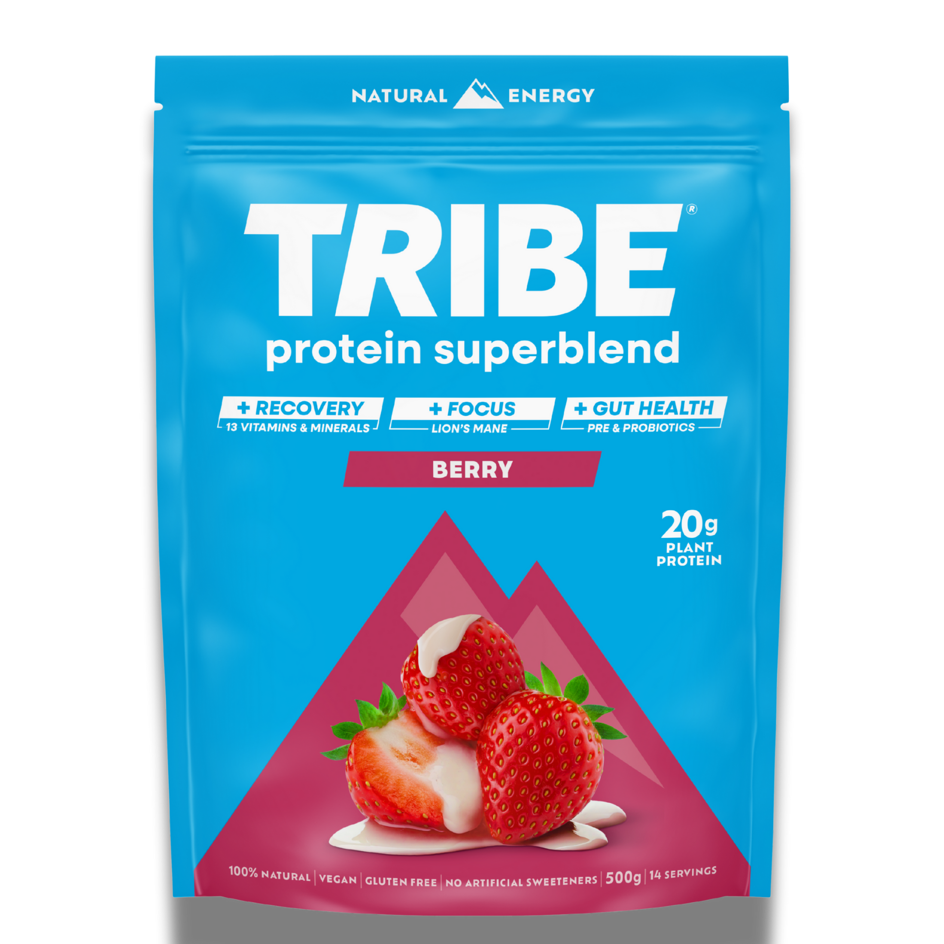 Vegan Protein Superblend 500g | Daily Recovery, Gut Health & Focus Shake TRIBE Natural Energy