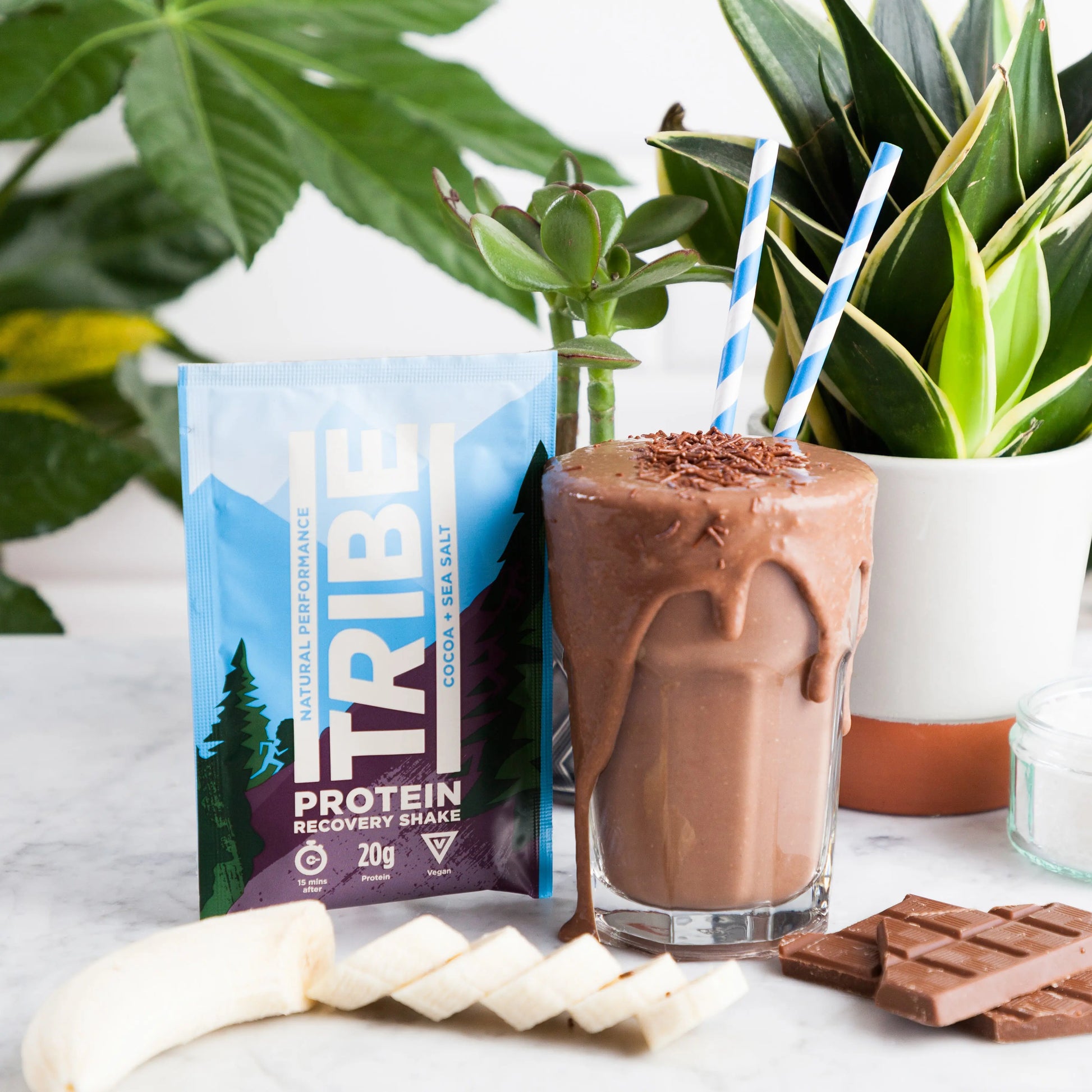 Cocoa + Sea Salt Protein Shake (Sachet) TRIBE Bars