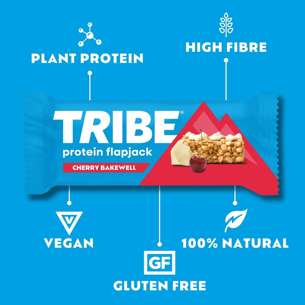 NEW Cherry Bakewell Protein Flapjack - 21x38g Bars TRIBE Natural Energy