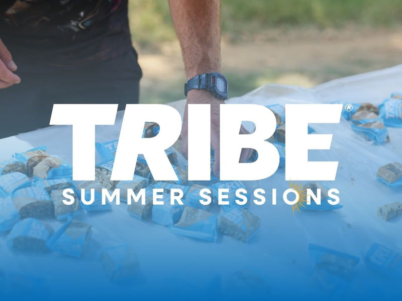TRIBE Summer Sessions